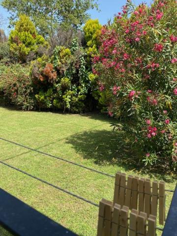 Calma Cottage Skiathos-stad Buitenkant foto